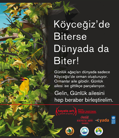 Sığla Project Poster